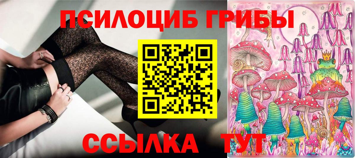 Псилоцибиновые грибы GOLDEN TEACHER  Канск  Галлюциногенные грибы GOLDEN TEACHER 