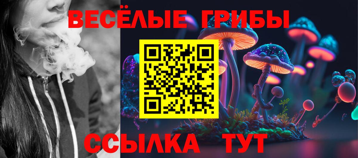 Псилоцибиновые грибы Cubensis Канск