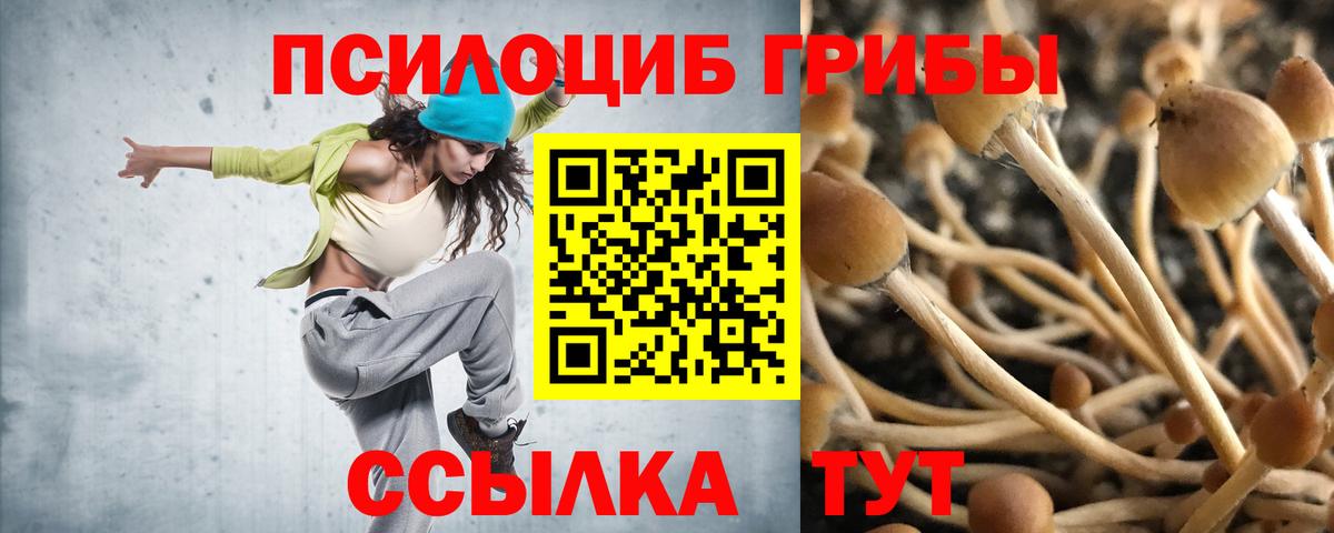 Псилоцибиновые грибы ЛСД Канск